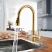 Kitchen Sink Faucet Brushed Gold Pull Down Sprayer Single Handle Mixer W/Cover - view 2
