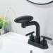 Black 4 Modes Bathroom Sink Faucet 3Hole 4in Centerset Vanity Mixer With Drain - view 12